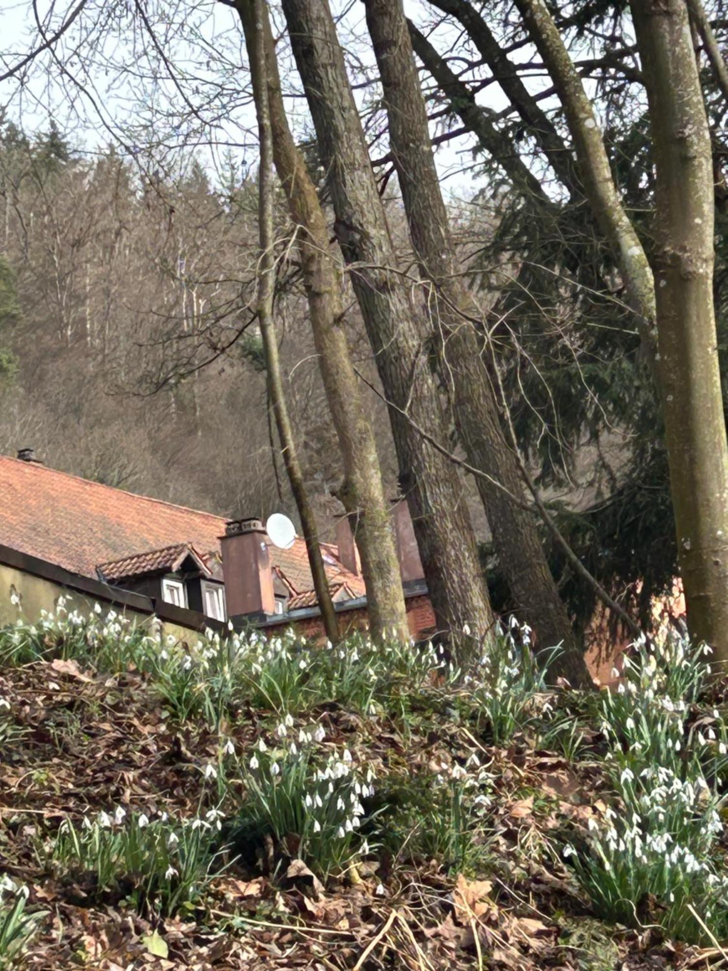 Villa Am Fluss Pforzheim Bagian luar foto