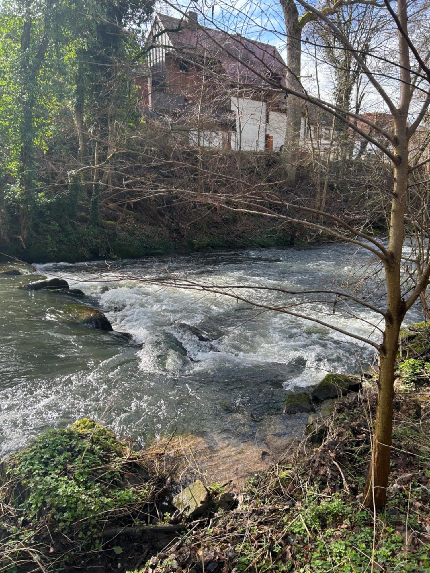 Villa Am Fluss Pforzheim Bagian luar foto