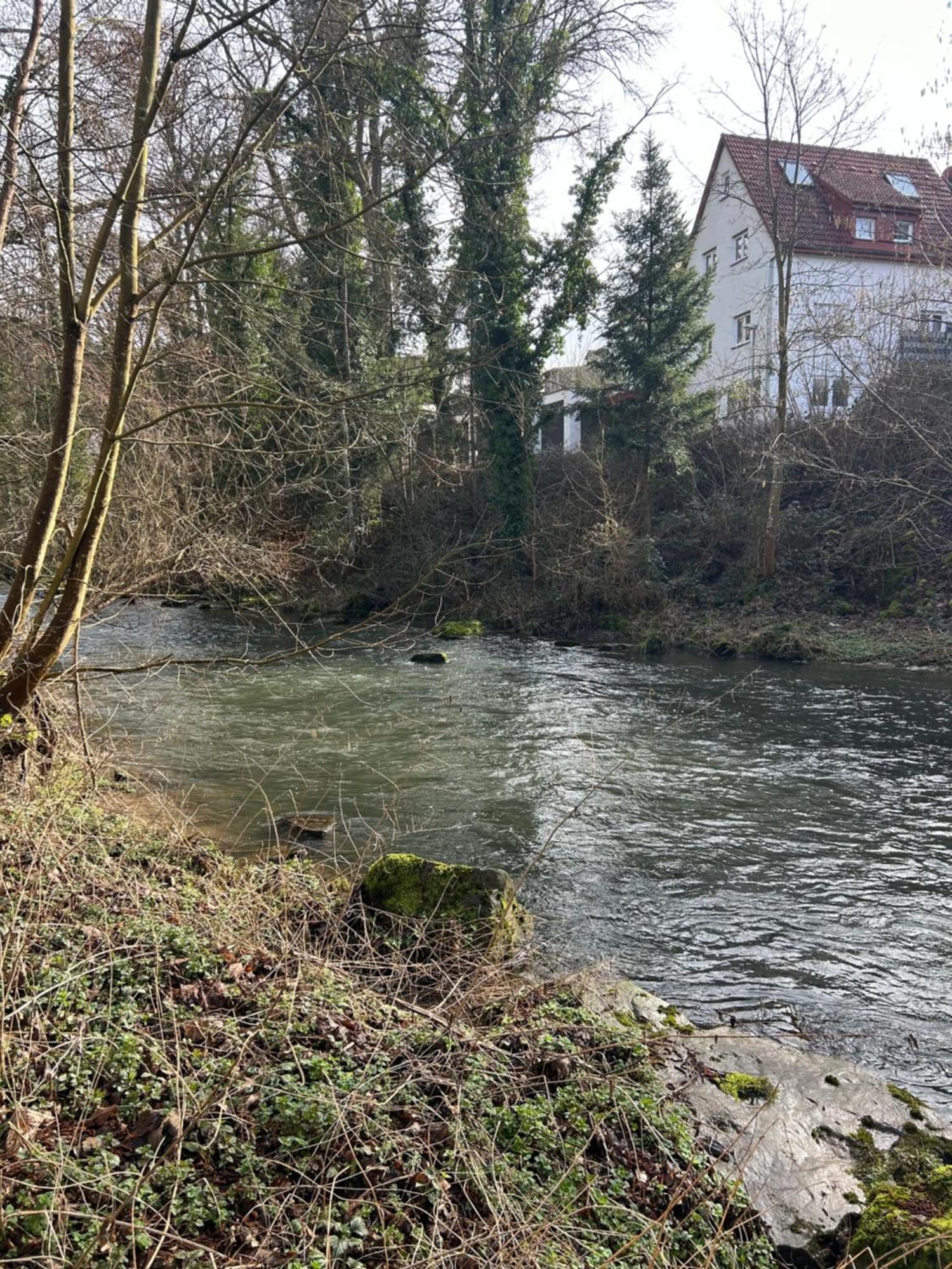Villa Am Fluss Pforzheim Bagian luar foto