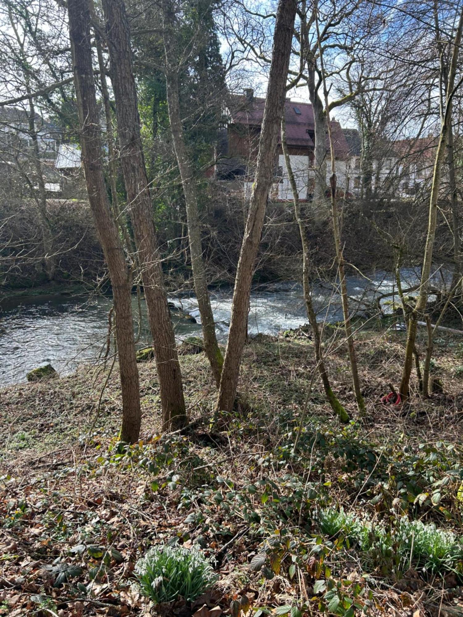 Villa Am Fluss Pforzheim Bagian luar foto